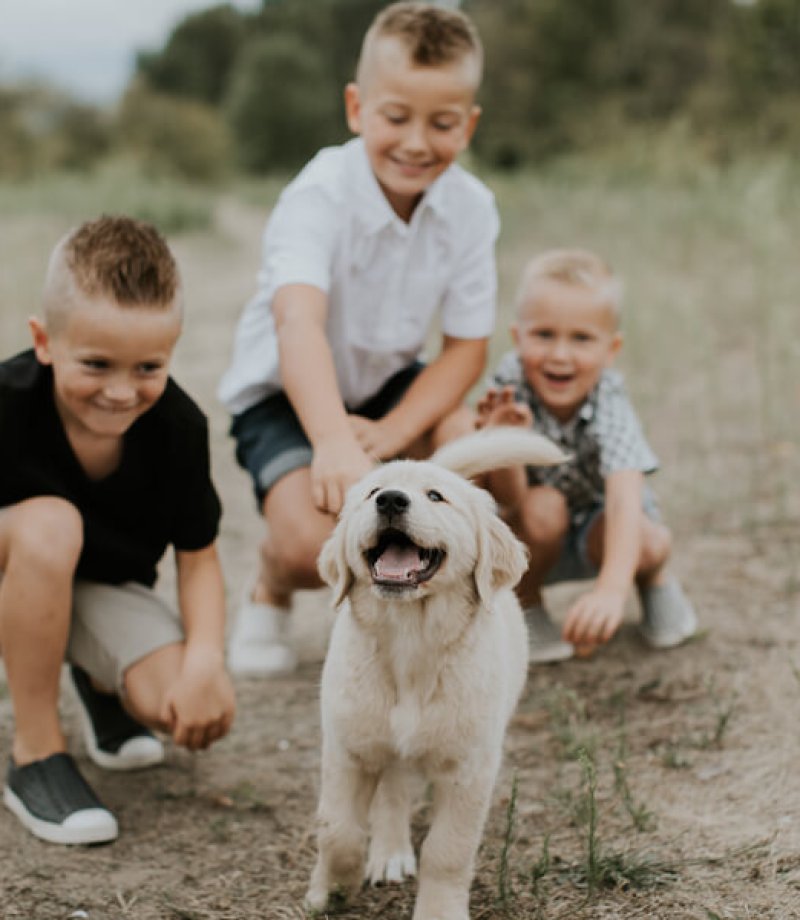 family with puppy